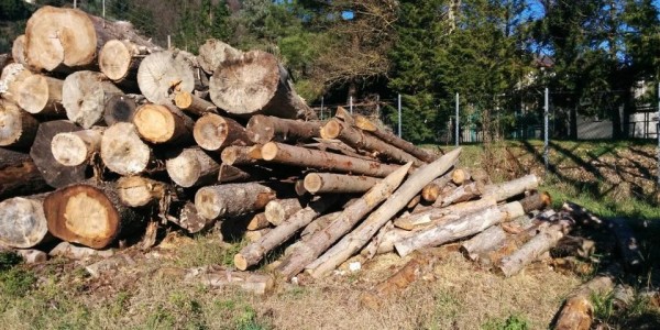 Tronchi 'accatastati' vicino alle case. E i bimbi ci giocano