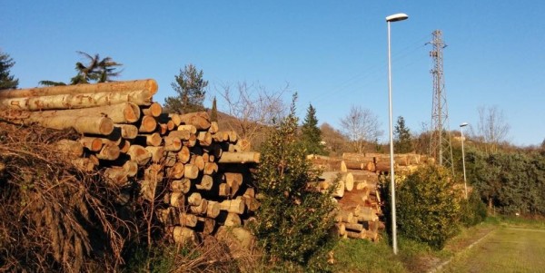 Ronta e il legname. La ditta precisa