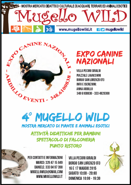 Il Mugello è Wild. Da sabato, tutte le info