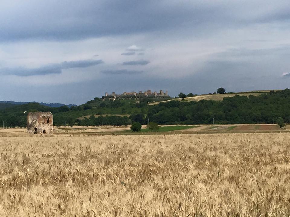 Via Francigena. La metà del cammino