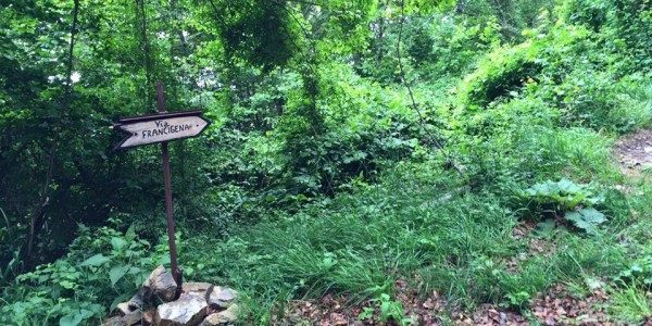 Marco Giovannelli e la Via Francigena. Prime tappe del viaggio