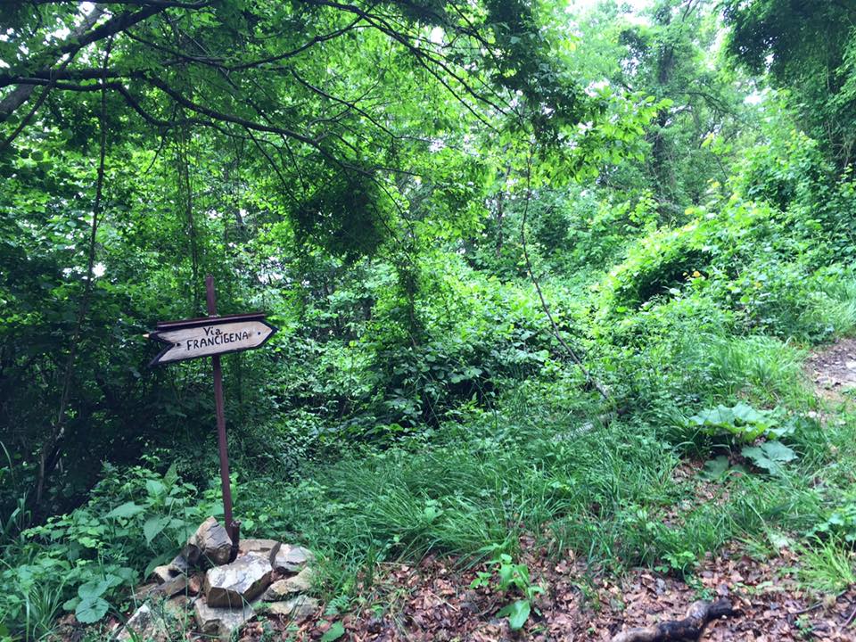 Marco Giovannelli e la Via Francigena. Prime tappe del viaggio