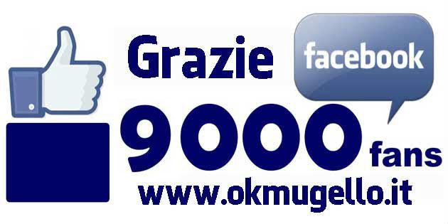 9mila Like . Grazie a tutti i lettori 5 anni di notizie