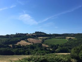 Via Francigena. La metà del cammino