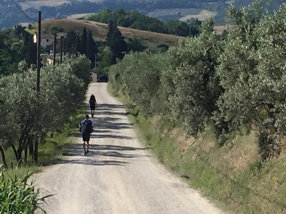 Via Francigena. La metà del cammino