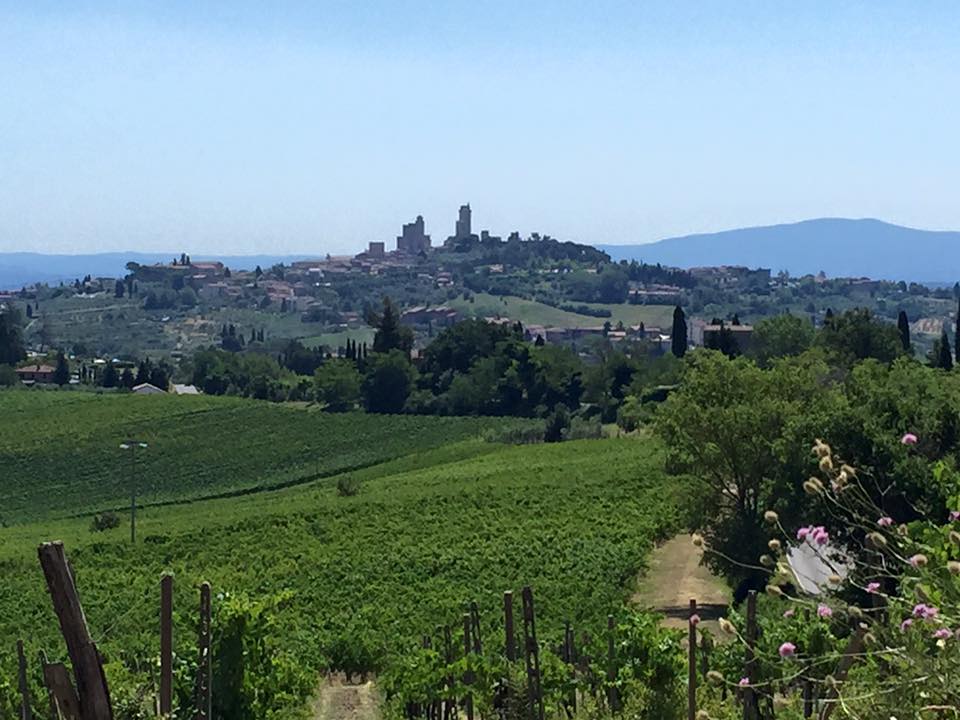 Via Francigena. La metà del cammino