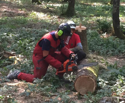 Protezione civile ed emergenze. 16 volontari a scuola di taglio e motosega