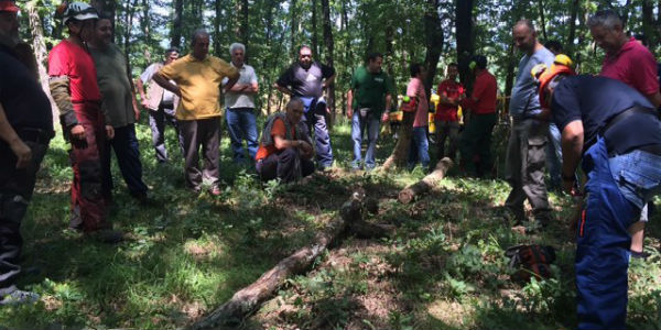 Protezione civile ed emergenze. 16 volontari a scuola di taglio e motosega