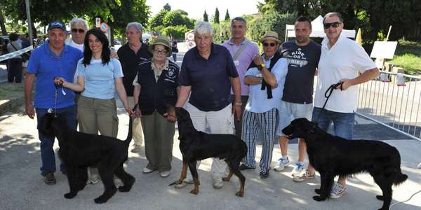 I vincitori (cani) del Trofeo Monte Senario. La foto