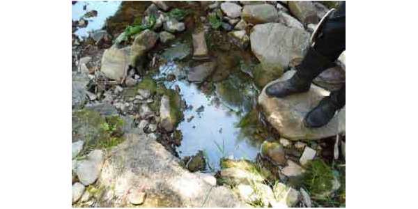 Gasolio nel Carza. La relazione di Arpat