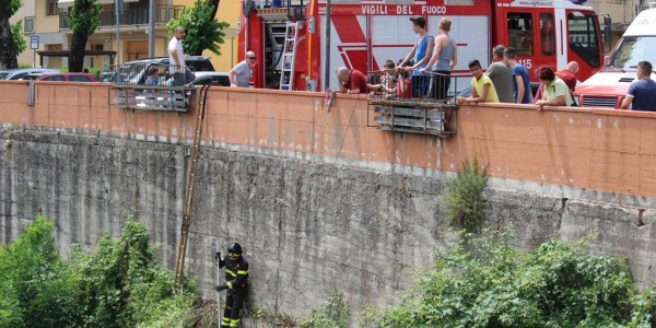 Gattino bloccato nel Carza, arrivano i Vigili del Fuoco
