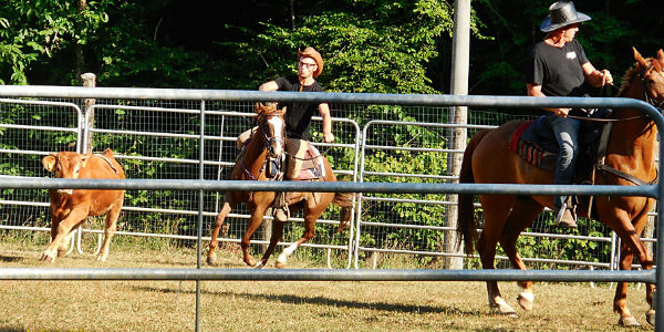 Cowboy Mugellani al Montepiano Country. Foto