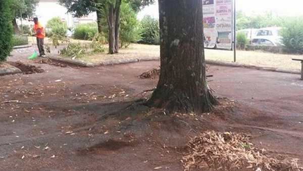 Borgo. Migranti all'opera ai giardini della stazione, le foto
