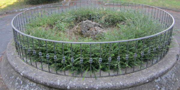 Giardino abbandonato e fatiscente a Borgo. Un lavoro per i migranti?