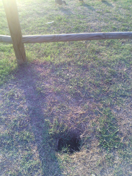 Parco, dopo le panchine le buche ?