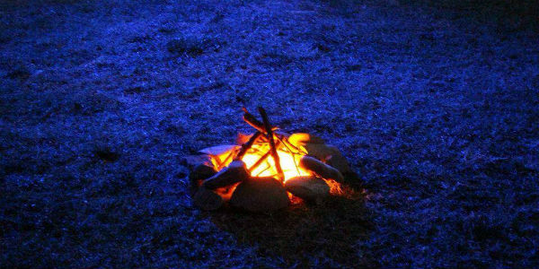 Il Sogno di GIotto. Cronaca dello spettacolo
