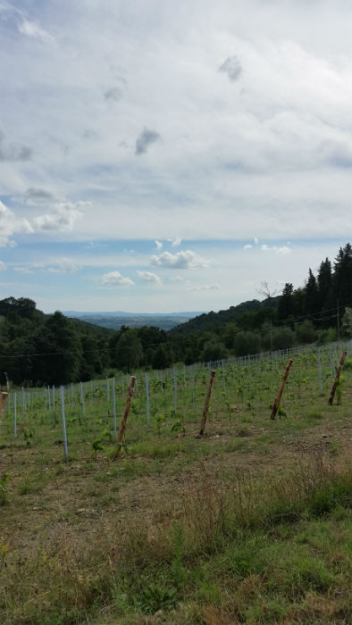 Mugello in foto. La natura vista da una lettrice