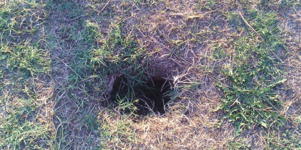 Parco, dopo le panchine le buche ?