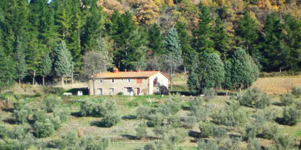 Mugello, burocrazia e territorio. La posizione di Borchi