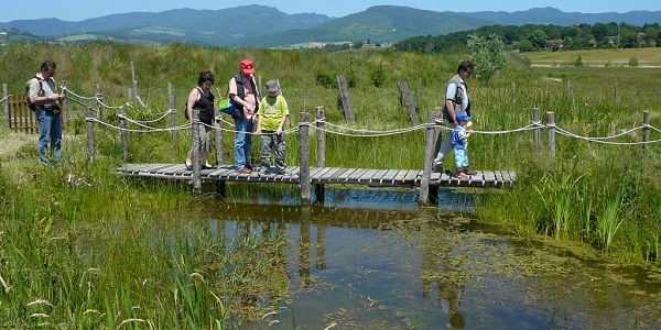 Disabilità. A Gabbianello un pomeriggio con Myosotis