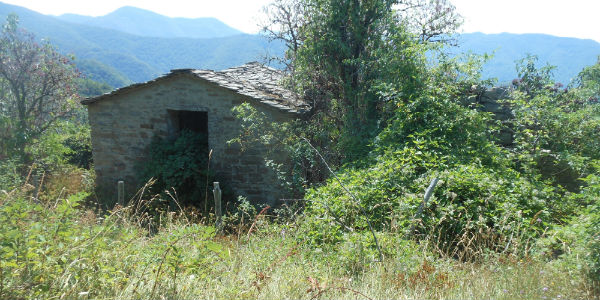 Firenzuola e la guerra. Ricordi, riflessioni, memoria