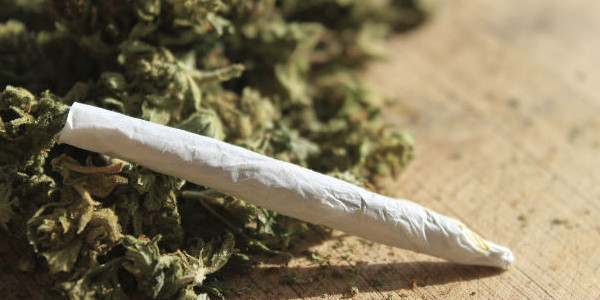 Marijuana in giardino. 40enne arrestato a Vaglia