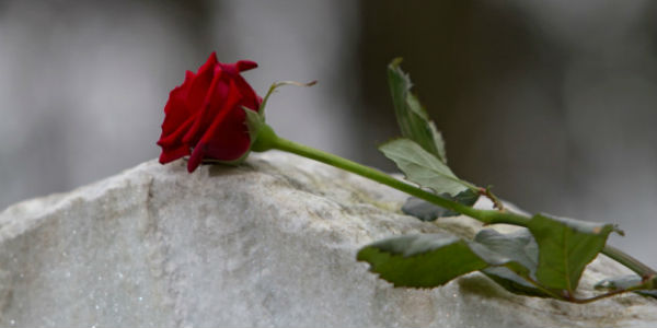 Ricordo di Anna Maria Moscardi, maestra a Vaglia