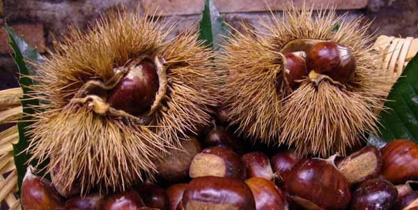 Giorno & Notte. Tutto il fine settimana in Mugello dal 16 al 18 ottobre