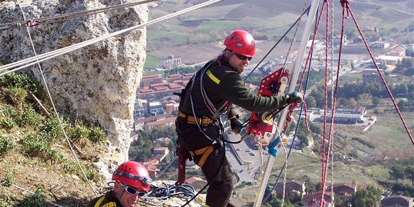 Cane nel burrone. Salvato dai pompieri sulla Futa