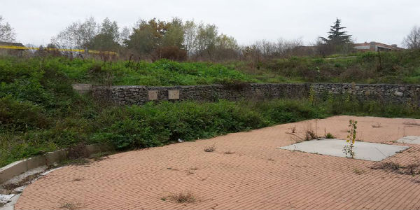 Chino Chini. Degrado in giardino, foto dei ragazzi. Senza parole