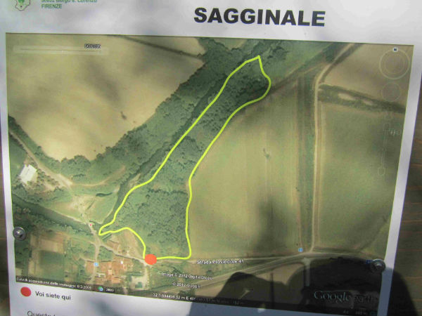 Il tartufo nel Mugello