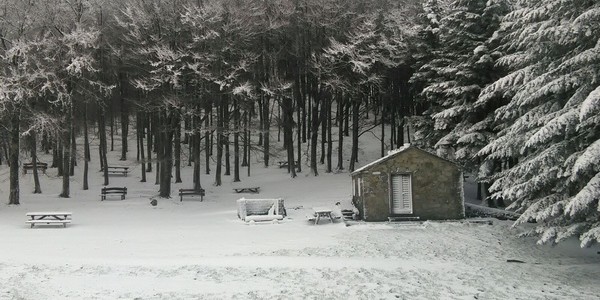 Domani nuova neve a 500-700 metri, previsione. E prime foto dei lettori