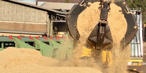Biomasse. Filiera corta? Di Siena l'impresa che fornirà la maggior parte di cippato