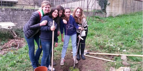Festa dell'Albero. Alle medie si... pianta, le foto