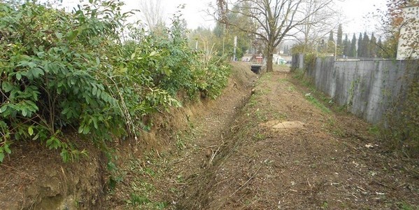 Tartufaia distrutta? L'Unione risponde