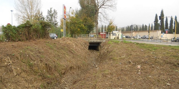 Il fosso e la bonifica. Intervento a Borgo