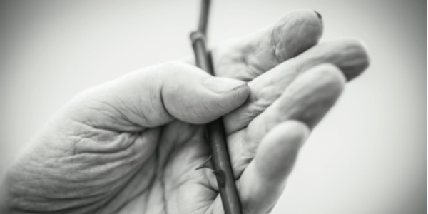 Gli anziani e l'essenziale della Vita. Una mostra a Borgo