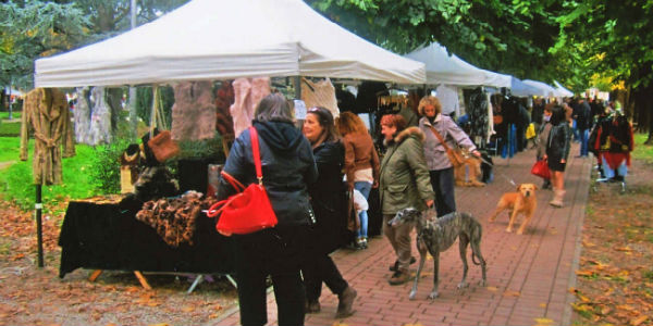 Quarta edizione per l'iniziativa Dalla soffitta alla cantina