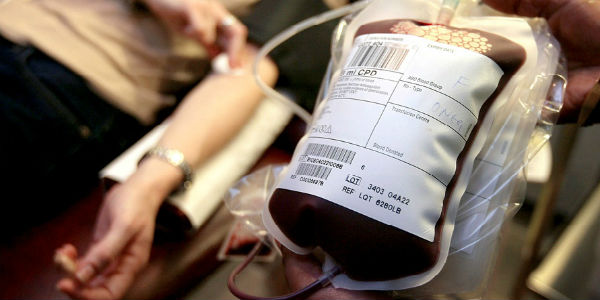 Avis Borgo San Lorenzo, l'anno dei record