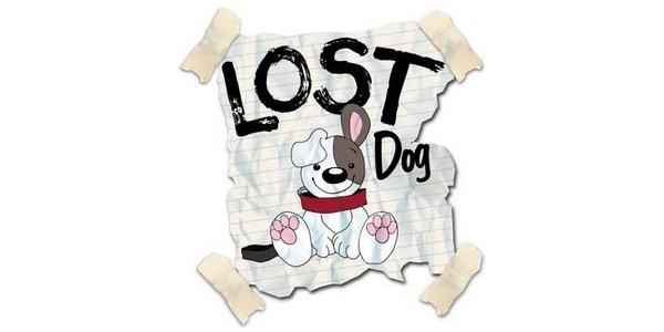 Cane smarrito tra Luco e Panicaglia. L'appello