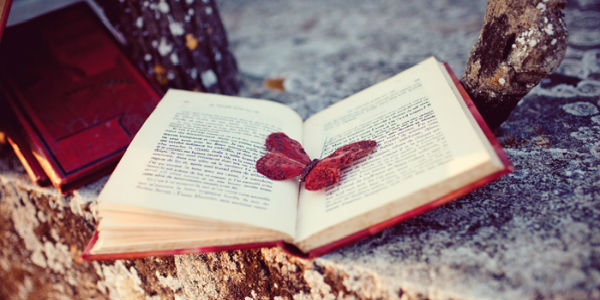 Libri e romanzi a Borgo San Lorenzo. Mugello 'culturale'