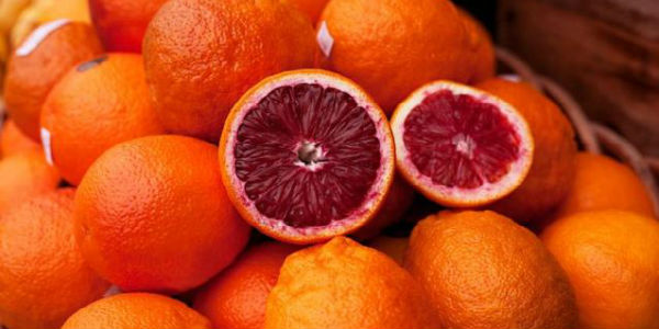 Ortolani alla riscossa. Raccolta fondi per finanziare il progetto