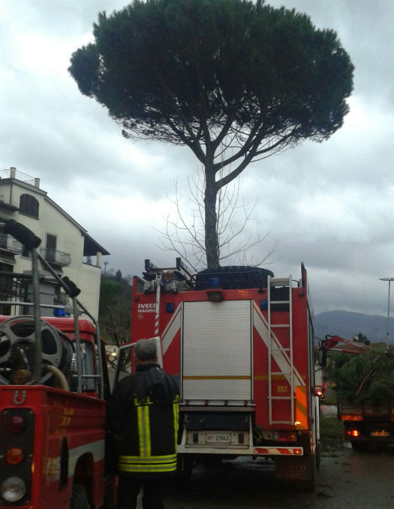 Dicomano, albero su auto. Vento forte in tutto il Mugello