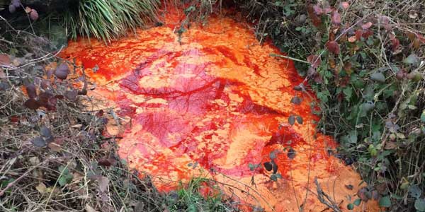 Petrona. Niente rischi per la Sieve, individuata la ditta responsabile