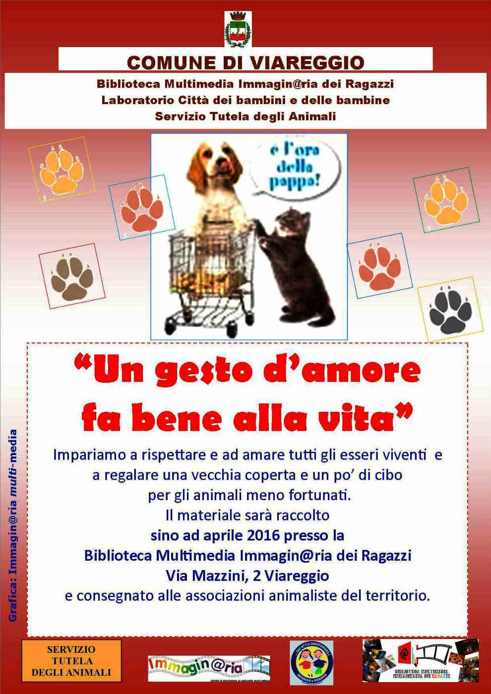Cibo e coperte per gli animali meno fortunati. Esempio da Viareggio