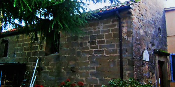 Alberi devozionali. Il cipresso di Sant’Antonino