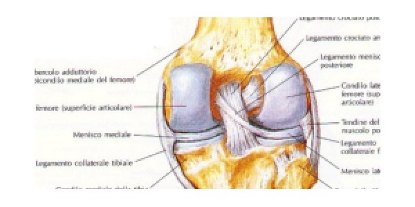 Il ginocchio e lo sport. Incontro alla Fortis