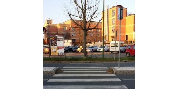 Barriere architettoniche. Quelle strisce contro l'albero (e lo scalino)
