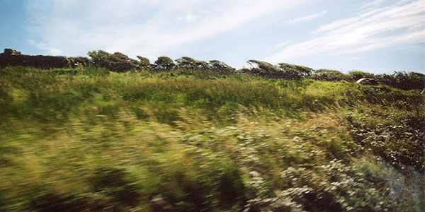 Vento fino a domani. Codice giallo della Città Metropolitana