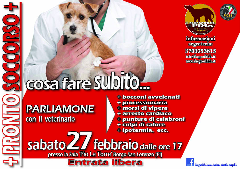 Pronto Soccorso Veterinario. Incontro a Borgo